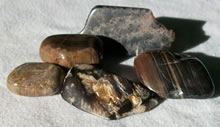 Petrified Wood - click to enlarge