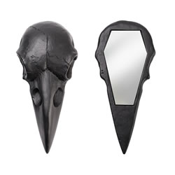 Black Raven Skull Mirror